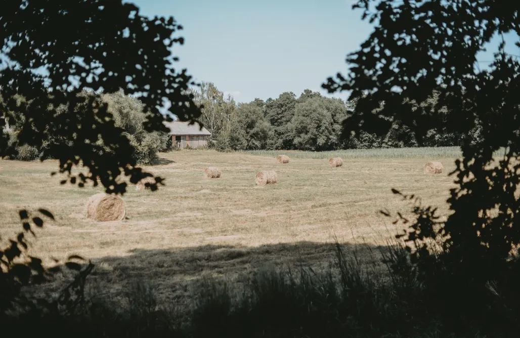 noclegi AlohaCamp Szumlisko 1