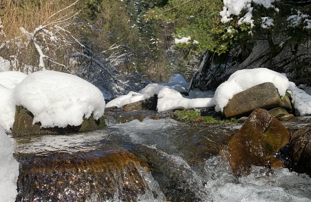 noclegi AlohaCamp Domek u Pawła 1