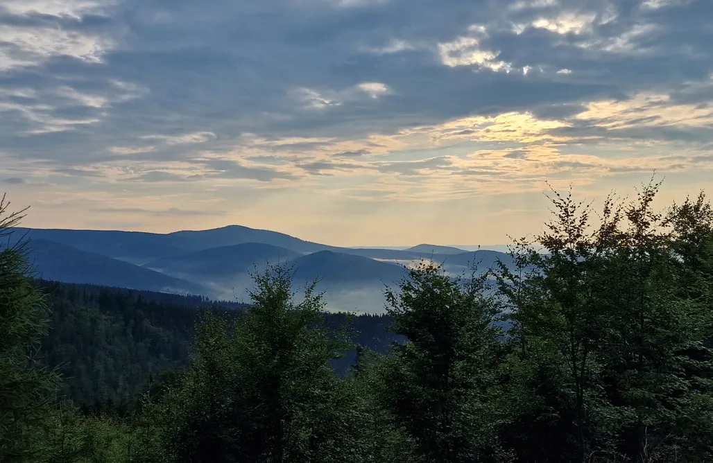 AlohaCamp Jurta całoroczna II 1