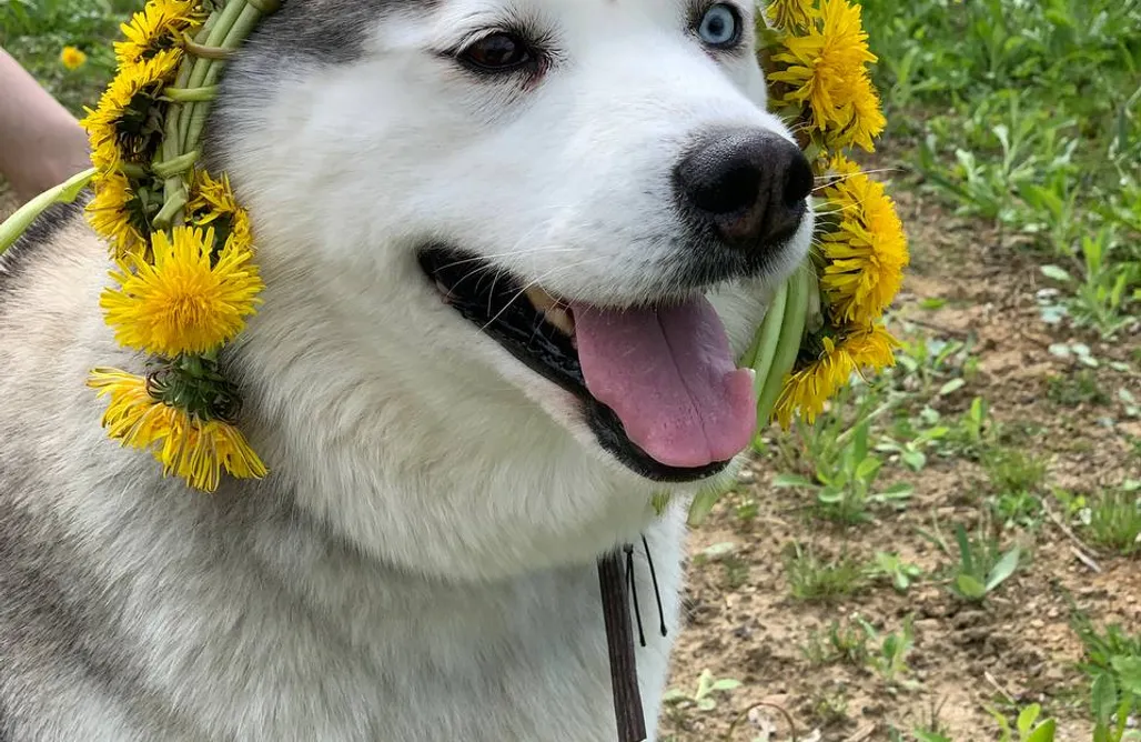 AlohaCamp Apartament 7 osobowy 1