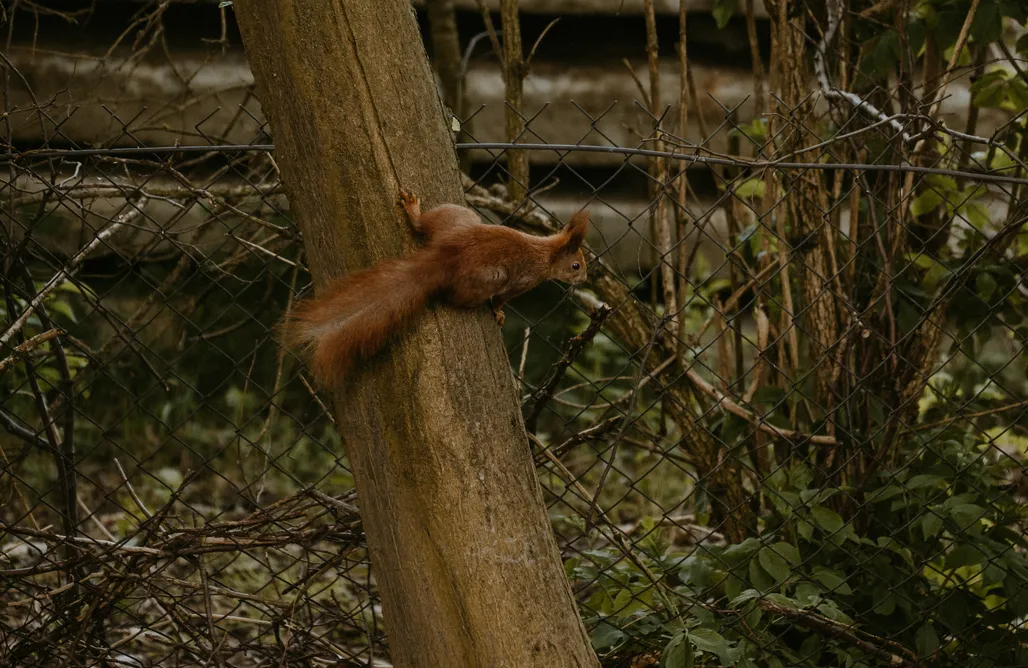 noclegi AlohaCamp Na miły Bug 1