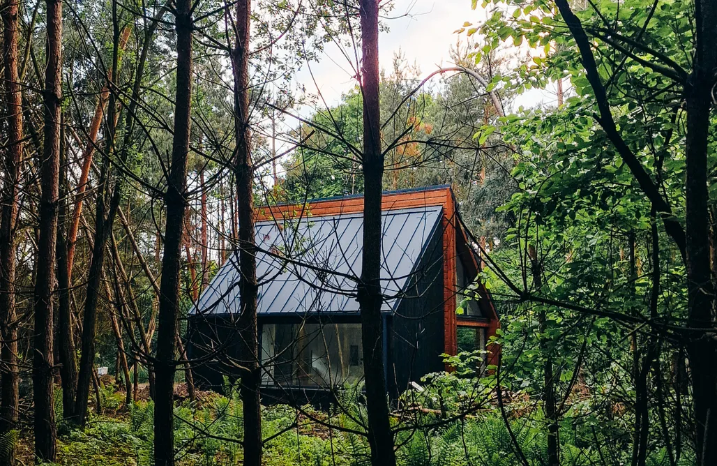 Swobodnia - domek z wanną z widokiem na las AlohaCamp
