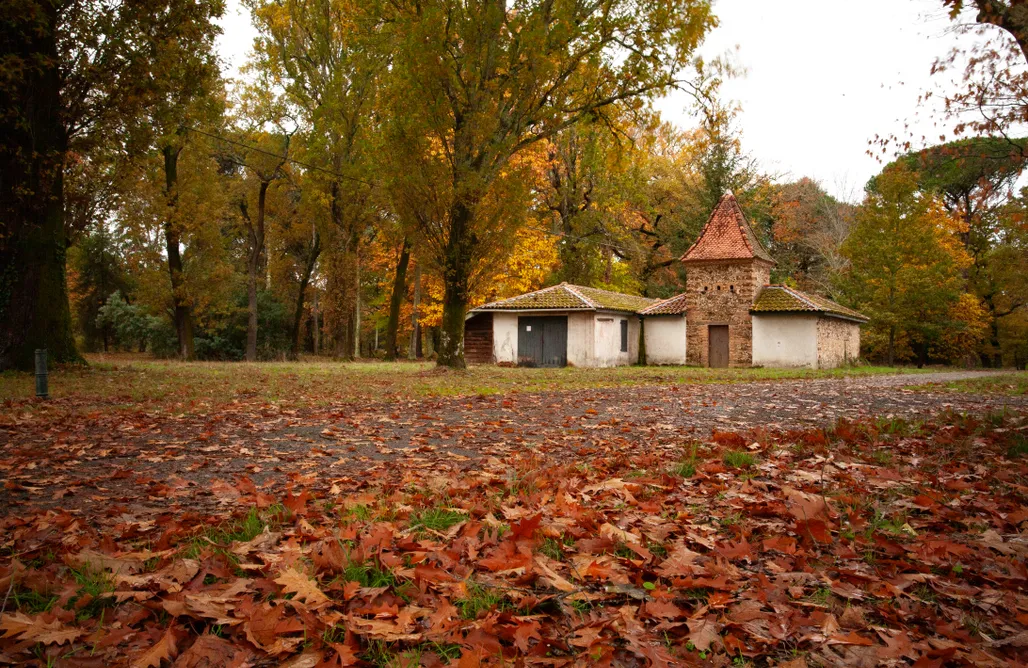 Alojamiento en Bolea Domaine forestier Darricau au bord du lac, 12 min de l'océan 2