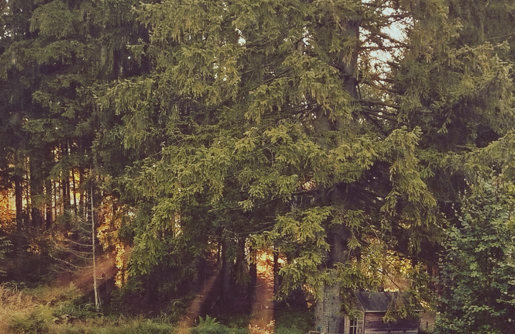 noclegi AlohaCamp Chłopska Chata 1