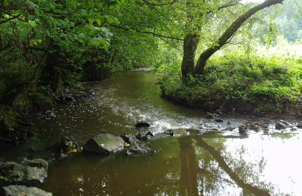 Unterkunft AlohaCamp Eifelcottage Family 7 4