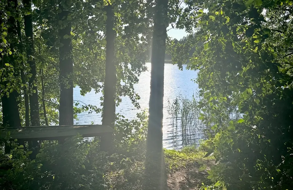 Gostycyn Domki Domki pod Aniołem 3