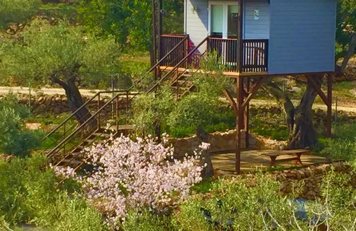 Imagen de Casa árbol - Ecoturismo Delta del Ebro