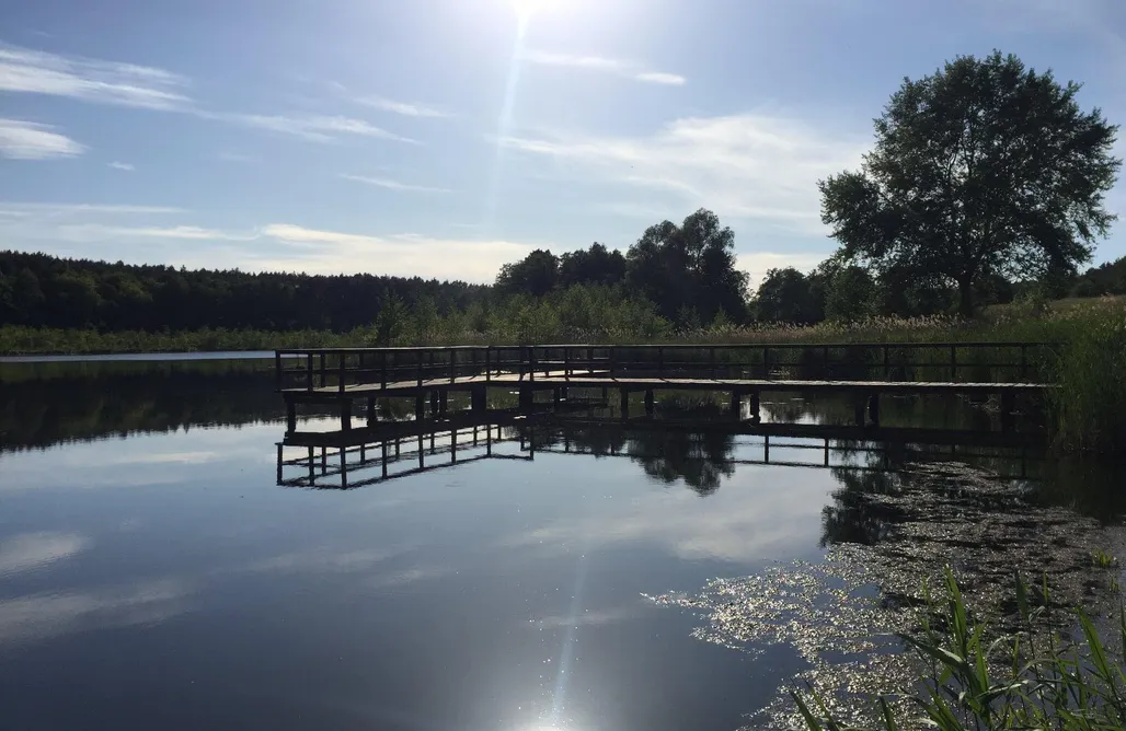 alojamientos AlohaCamp Ośrodek Wypoczynkowy Leśne Ustronie 4