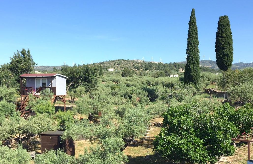 AlohaCamp Observatorio de Aves  1