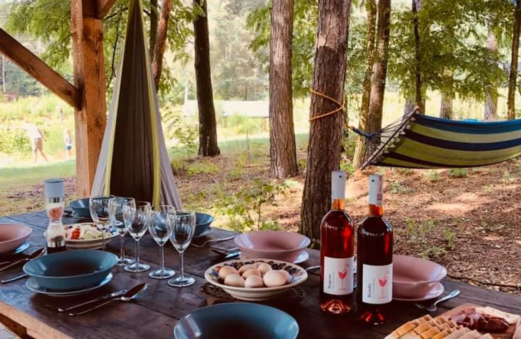 noclegi AlohaCamp Miejsce kamperowe - Winnica Bracia Petrasz 3