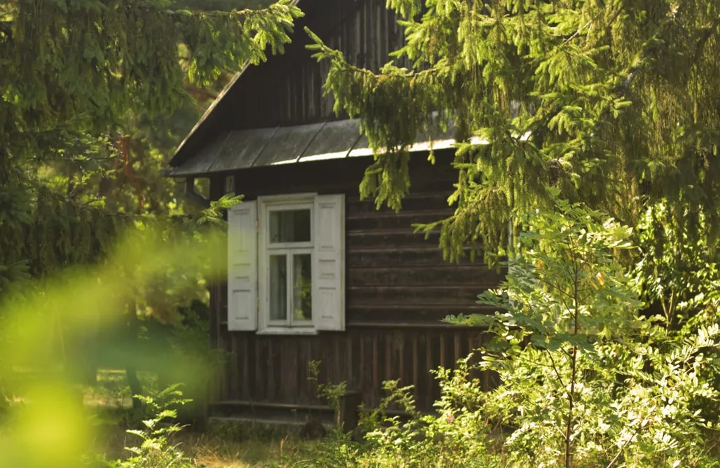 Jezioro Białe Nocleg Białasówka - Dom w lesie 3