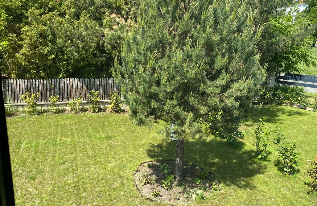 AlohaCamp Hiszpania - dom z 2 sypialniami 1