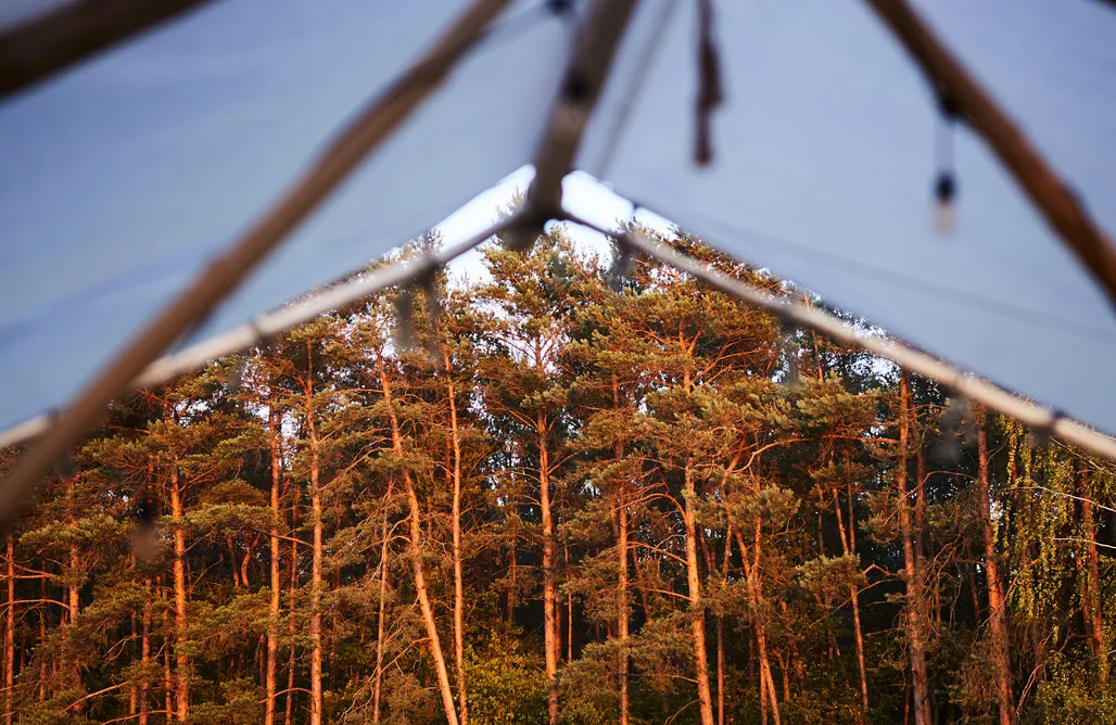 alojamientos AlohaCamp Bosco glamping 5