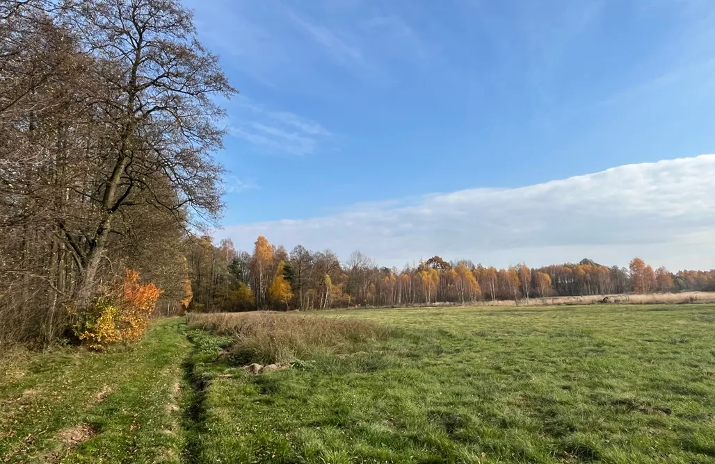 Pole Namiotowe Łódzkie Miejsce kamperowe i namiotowe - The Farm Wild Camping 1
