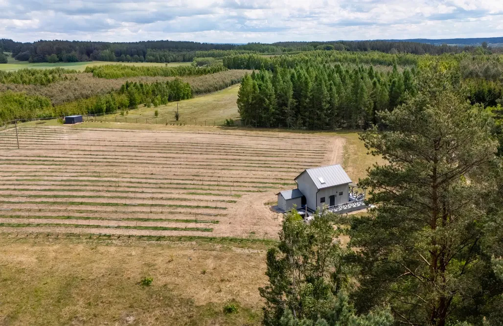 Kurztrip Europa Okno Na Winnicę 2