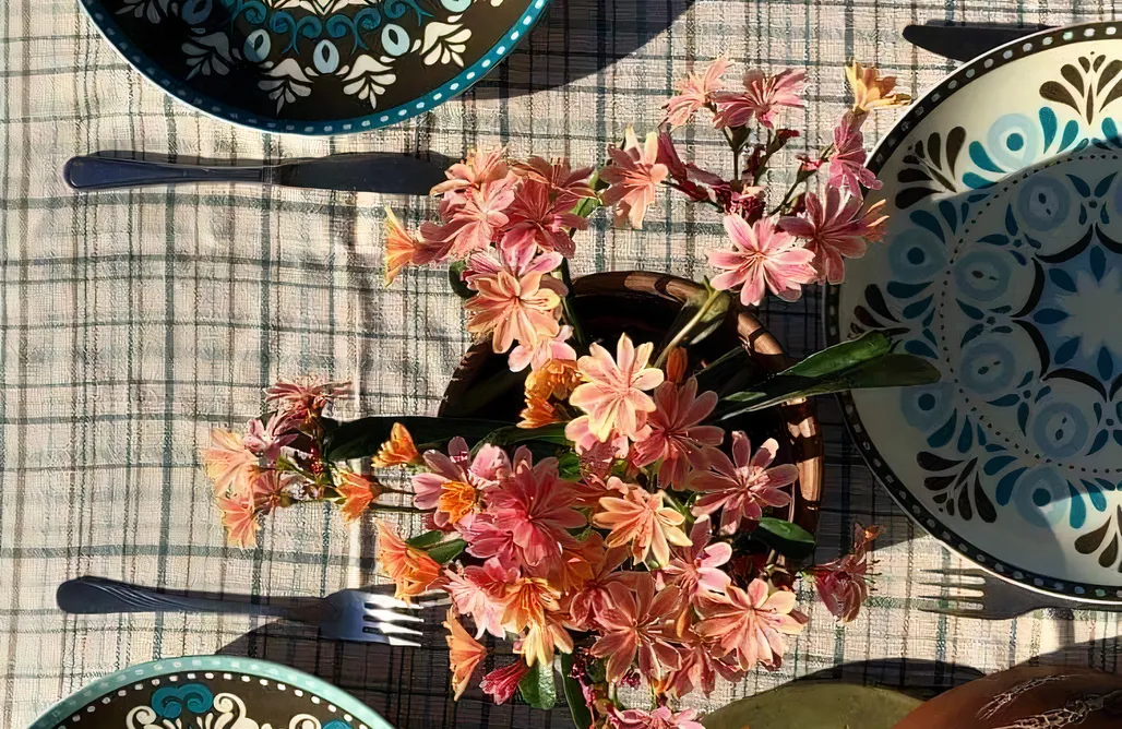 noclegi AlohaCamp W Osiekach 1