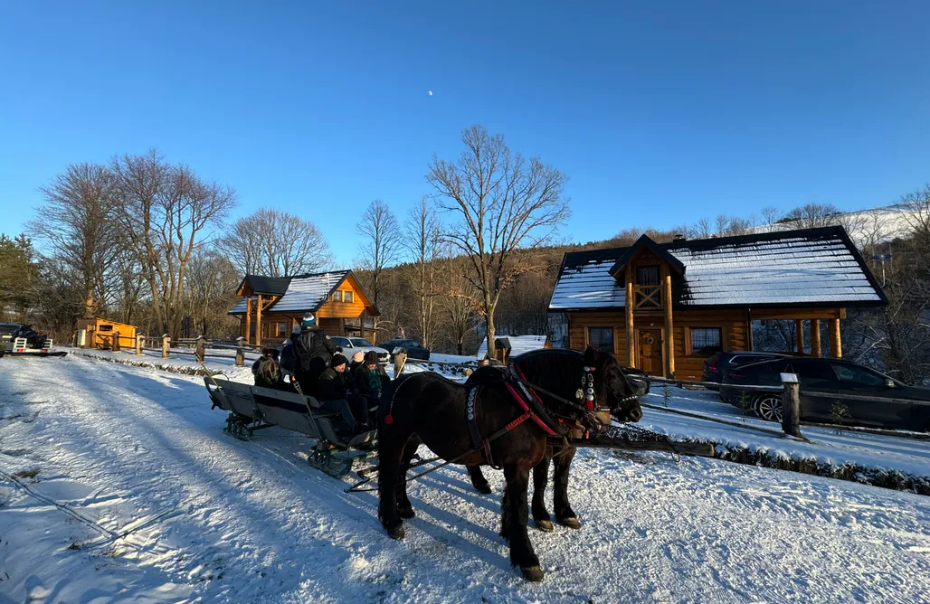 AlohaCamp Domek nr 1 1