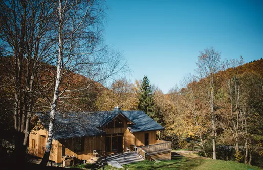 Zdjęcie obiektu Lotna Pszczoła