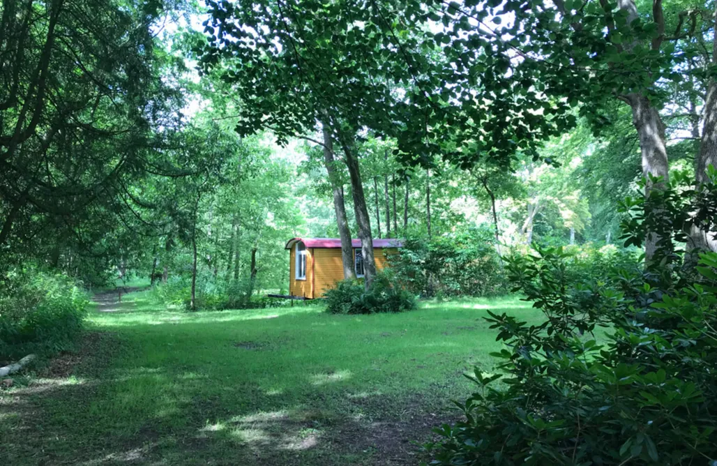 Location Chalet Avec Étang Pêche Privé Roulotte au cœur de la nature 2