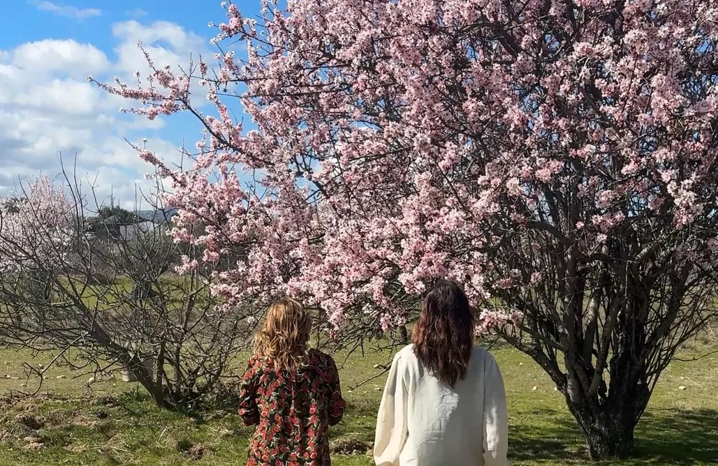 alojamientos AlohaCamp Nibelungos House 5