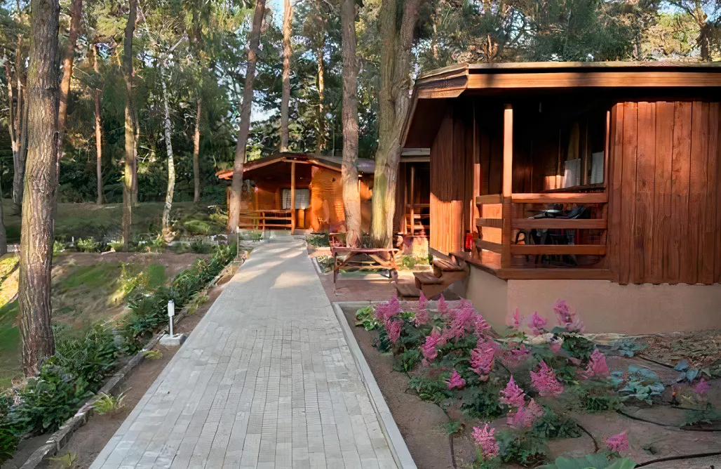 AlohaCamp Domek Ciechów 1