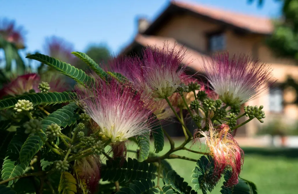 Hoteles Rurales en Cantabria El Cierruco 1