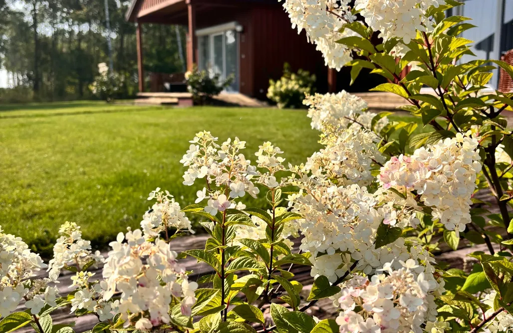 AlohaCamp Między lasem a wsią 1