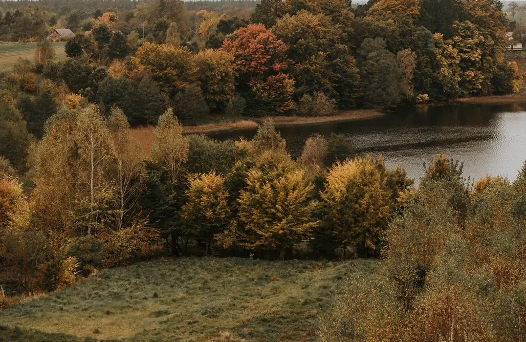 alojamientos AlohaCamp Dom Merlina  1