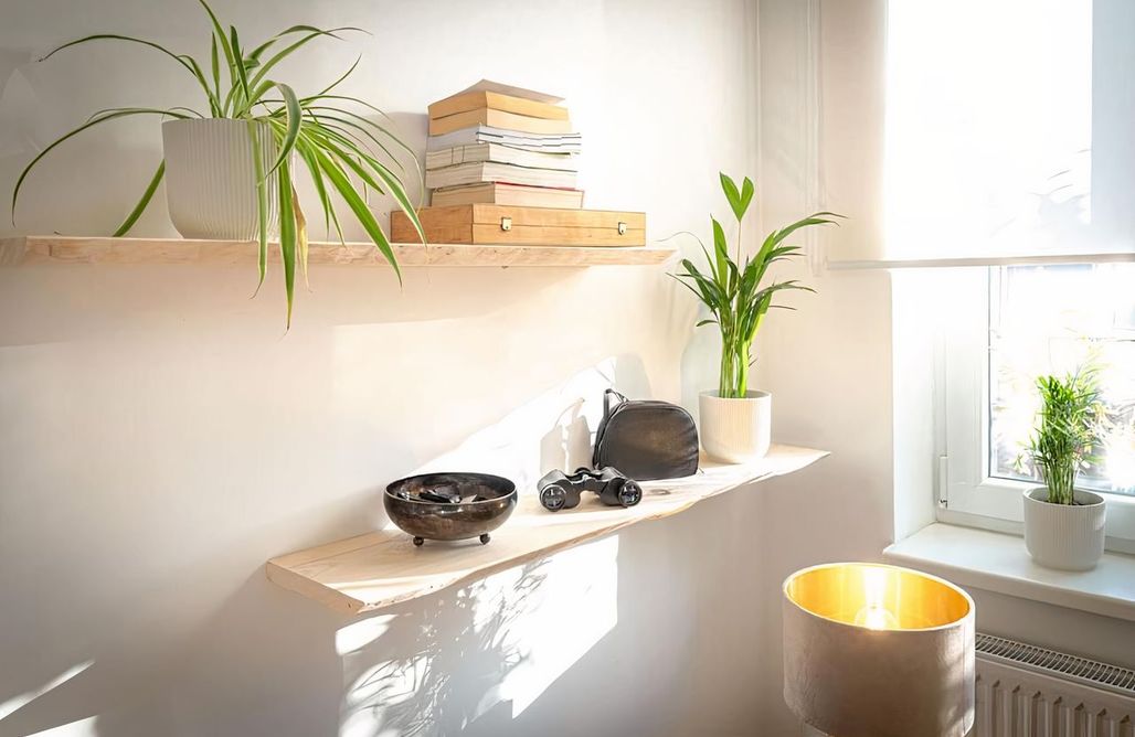 AlohaCamp Einfamilienhaus mit einem Schlafzimmer 1