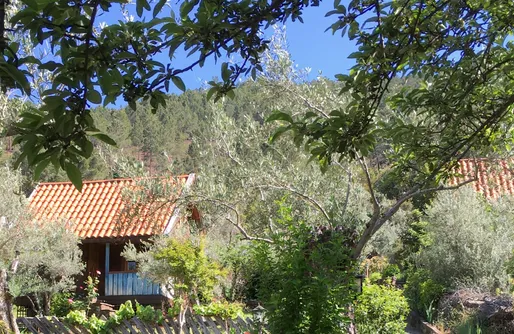 Imagen de Las Cabañas de Mestas