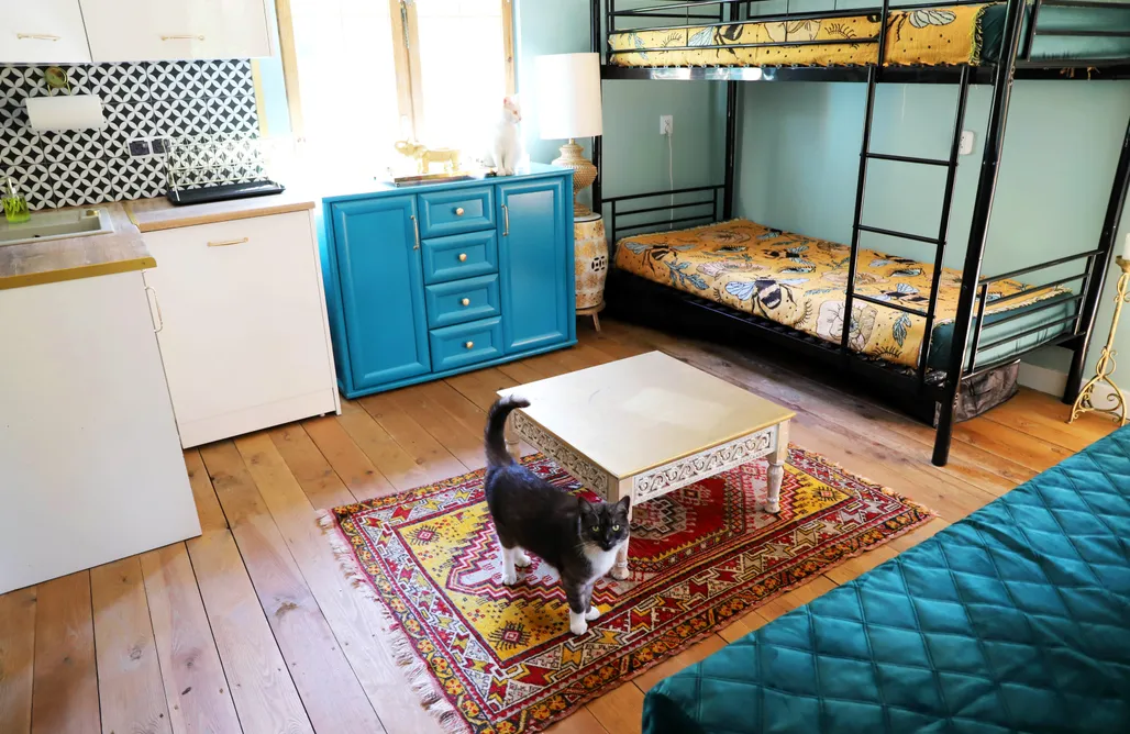 AlohaCamp Domek Wróżki - Sanktuarium Laparica w Puszczy Białej 1