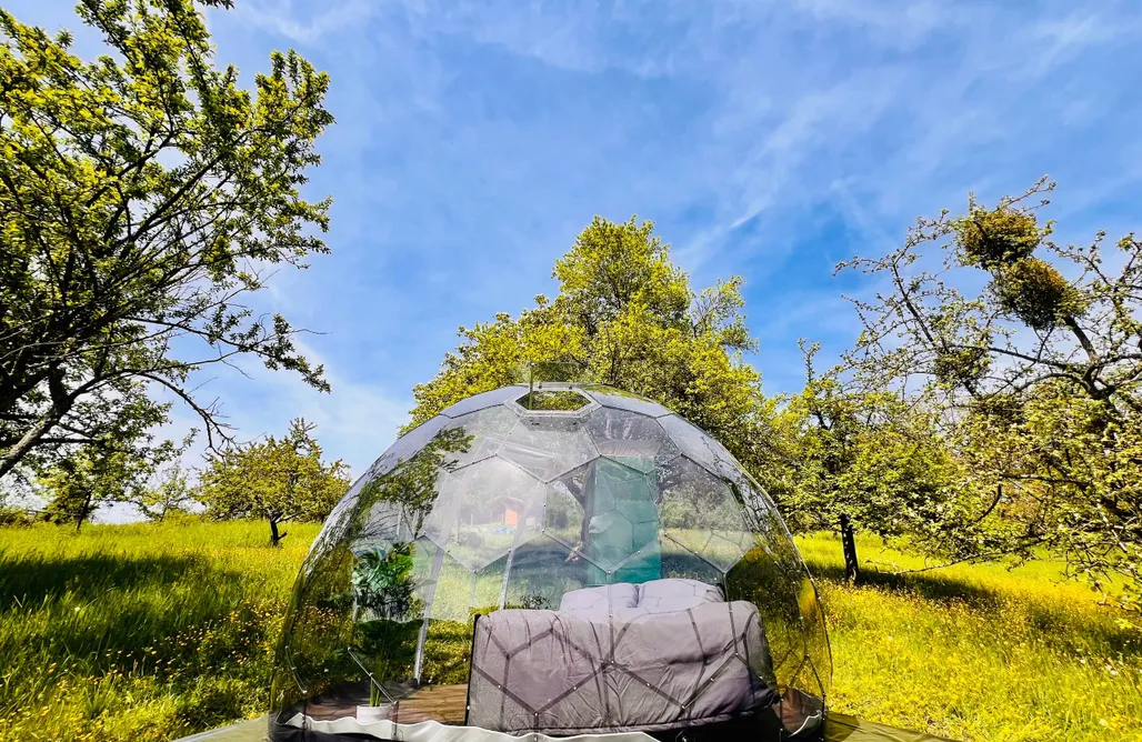 Magisches Bubble-Tent im Auenwald AlohaCamp
