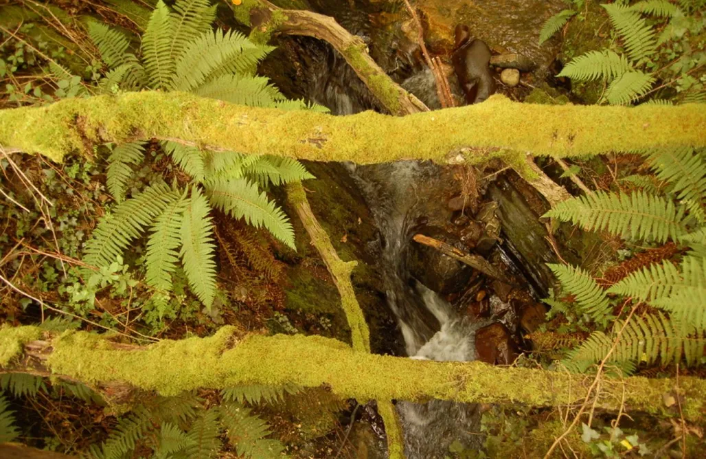 alojamientos AlohaCamp Encantadora Suite en Picos de Europa 1
