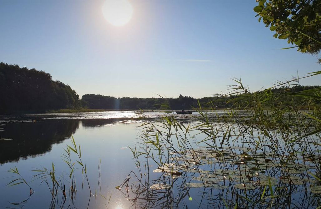 AlohaCamp Dom leśny 1