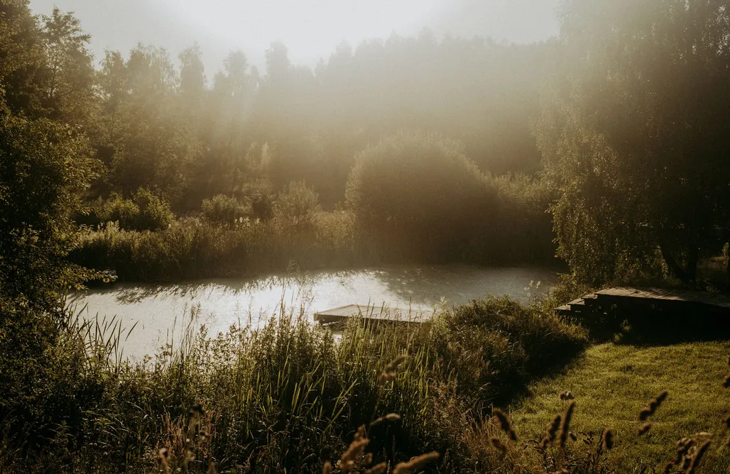 Bory Tucholskie Domek Brzozowisko Tuchomko 3