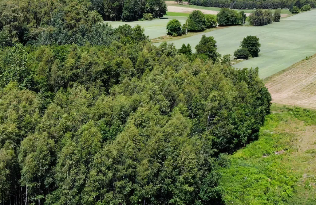 noclegi AlohaCamp Jurta pod Brzozami 1
