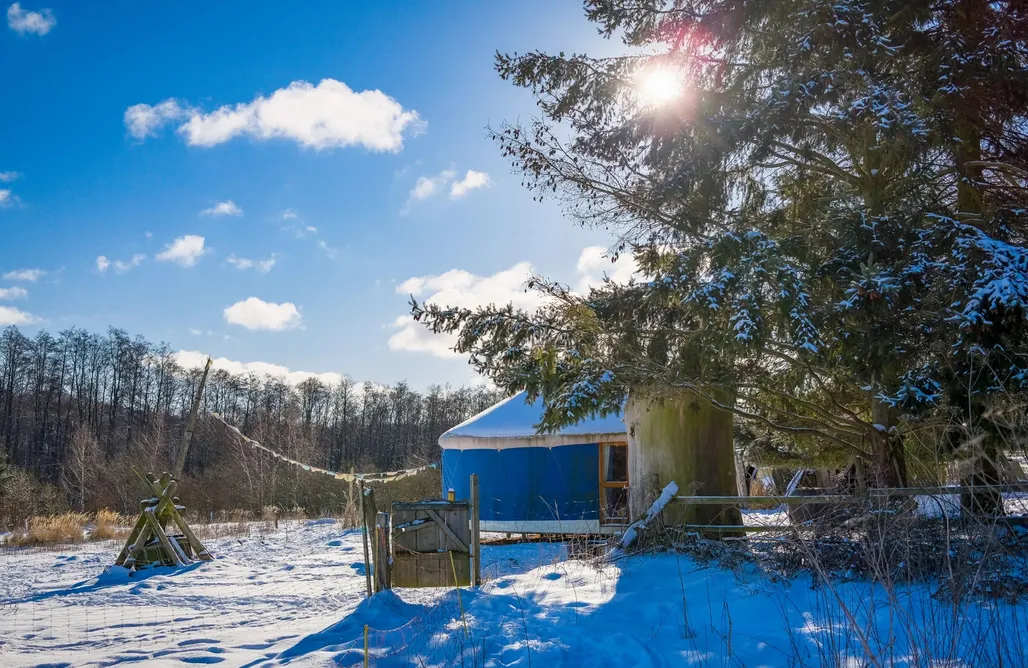 Borne noclegi Blaue Jurte unter Tannen (1 - 3 Pers.) 2