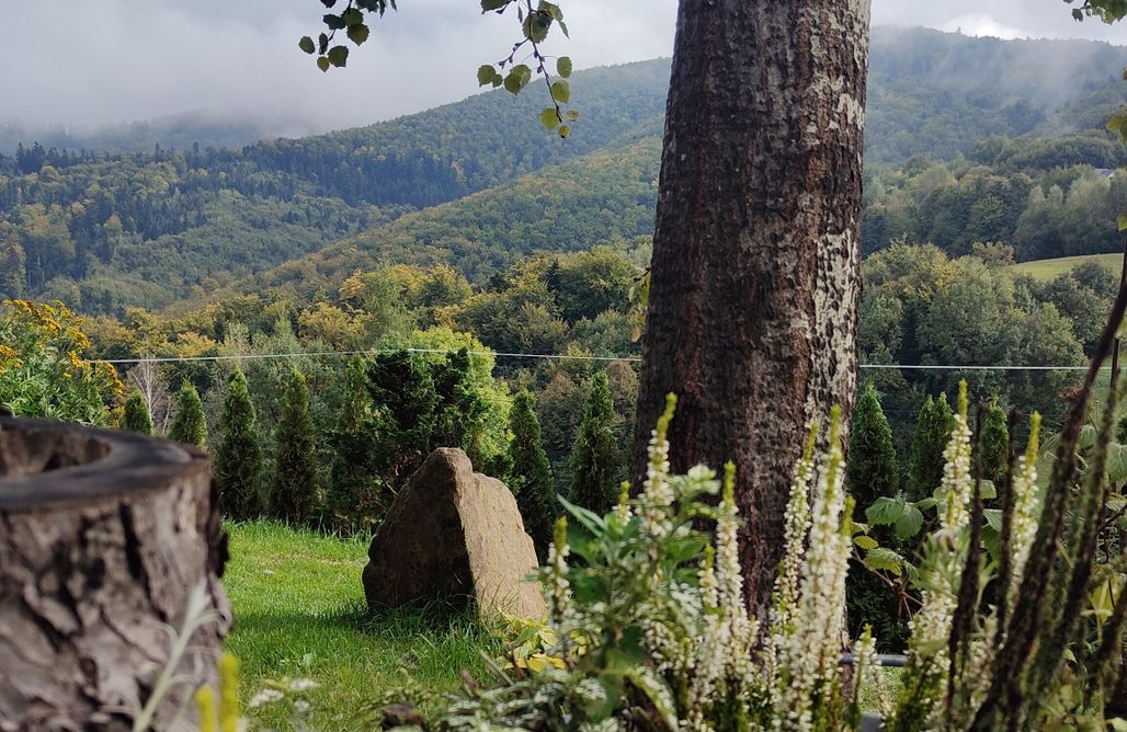 AlohaCamp Domek Ponad Mgłami 1