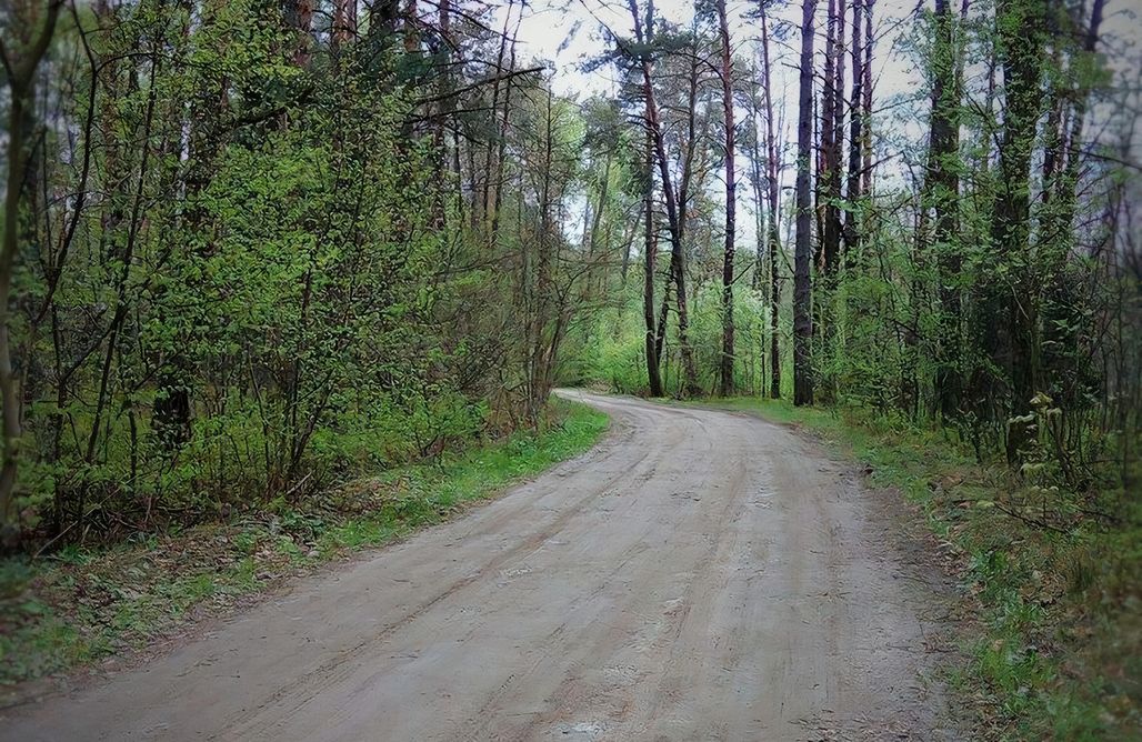 AlohaCamp Pizuny Dom pod dębem 1