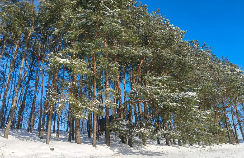 noclegi AlohaCamp Wschód & Zachód - domek Wschód 1