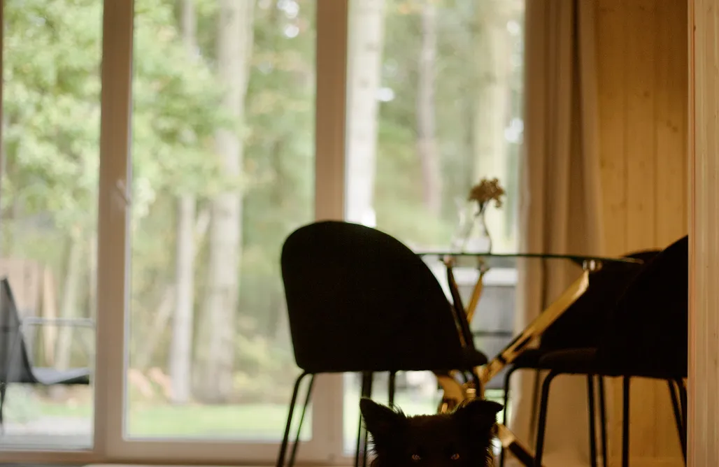 AlohaCamp Domek Premium nr 6 1