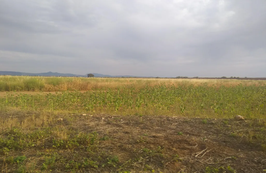 alojamientos AlohaCamp Villa Cerro Mena 1