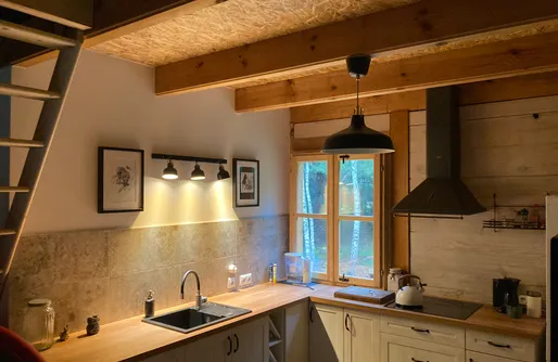 Zdjęcie obiektu Flying Moose/Latający Łoś