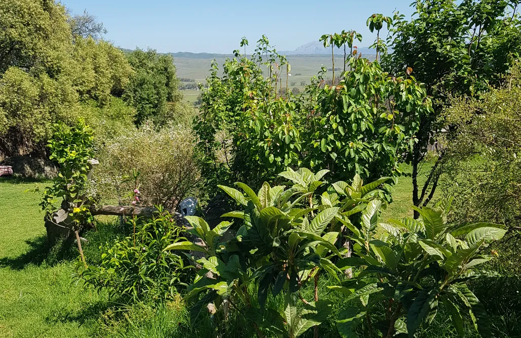 Camping Sevilla Jardin privado para camper/autocaravana con vistas al Estrecho. 2