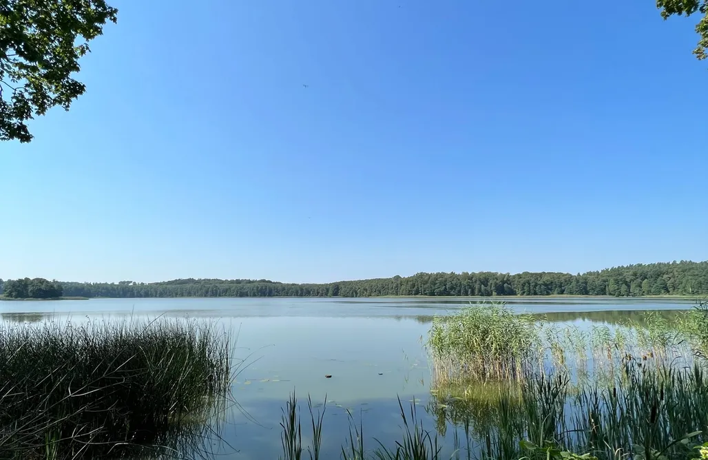 noclegi AlohaCamp Willa Orlik 1