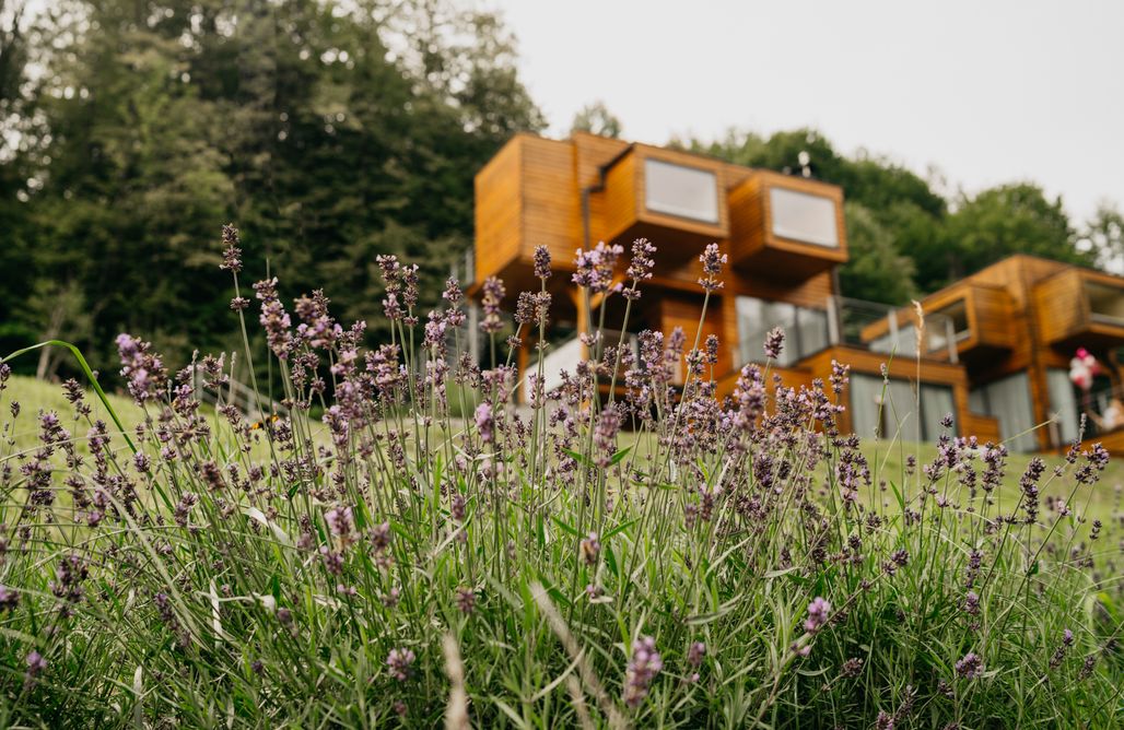 AlohaCamp Apartamenty Szuflandia JOY nr 8 1