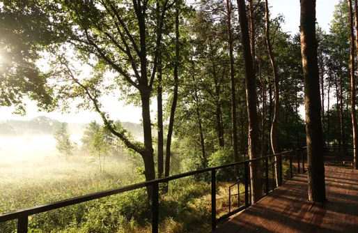 Zdjęcie obiektu Sosnowa Kryjówka