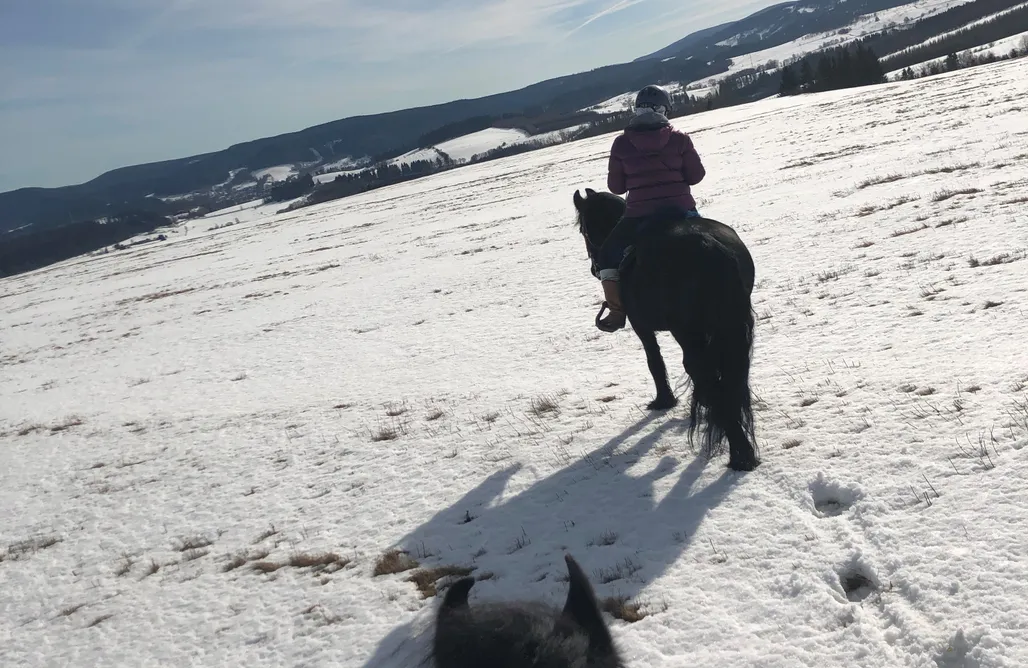 noclegi AlohaCamp Domy Słońca Jurty Mongolskie 1
