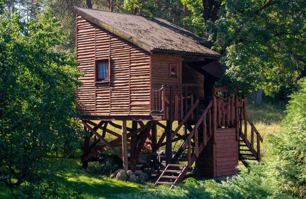 Leśna dolina - domek na drzewie AlohaCamp