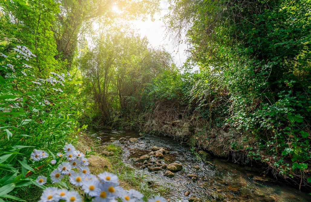 Il Mulino Della Pastora AlohaCamp